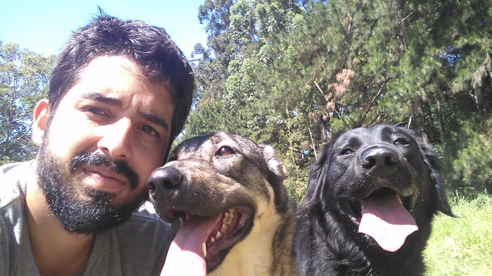 Conheça o Caminho Científico para Transformar o Comportamento do seu Cão 2 Adestrador de Cães