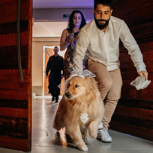 Home 6 clicker club (6)