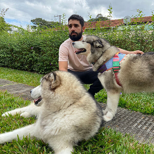 Home 11 Adestrador Victor com seus alunos malamutes do alaska