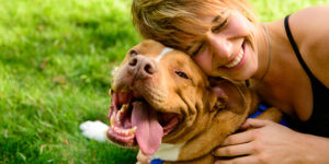 Como educar seu pet da maneira ideal