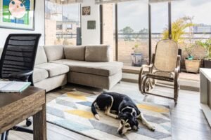 Vida de cachorro em apartamento
