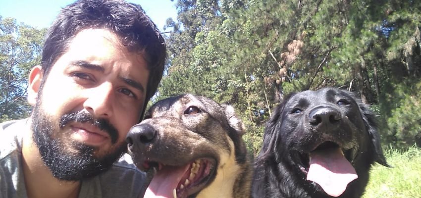 Adestrador de Cães